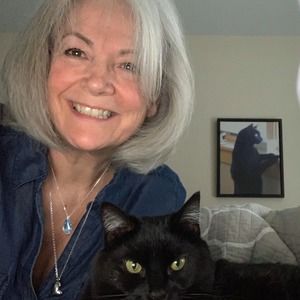 Meet your Posher, Penny